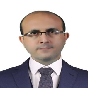 مجتبی حسین پور