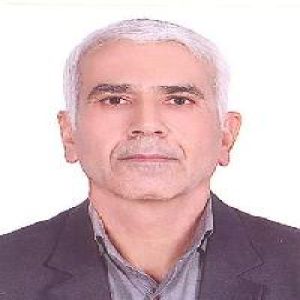 سید محمد موسوی