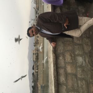 محمدجواد شيخي