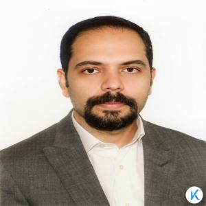 حمید حسینی زاده