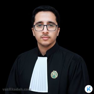 میثم امیرزاده