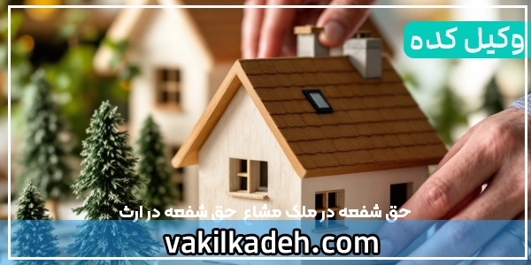 حق شفعه در ملک مشاع | حق شفعه در ارث